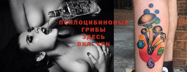 винт Алзамай