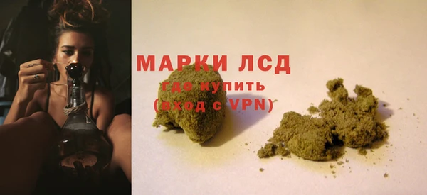 винт Алзамай