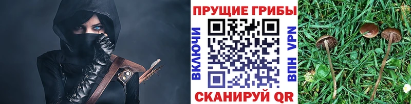 Галлюциногенные грибы мухоморы МЕГА ссылки Петровск